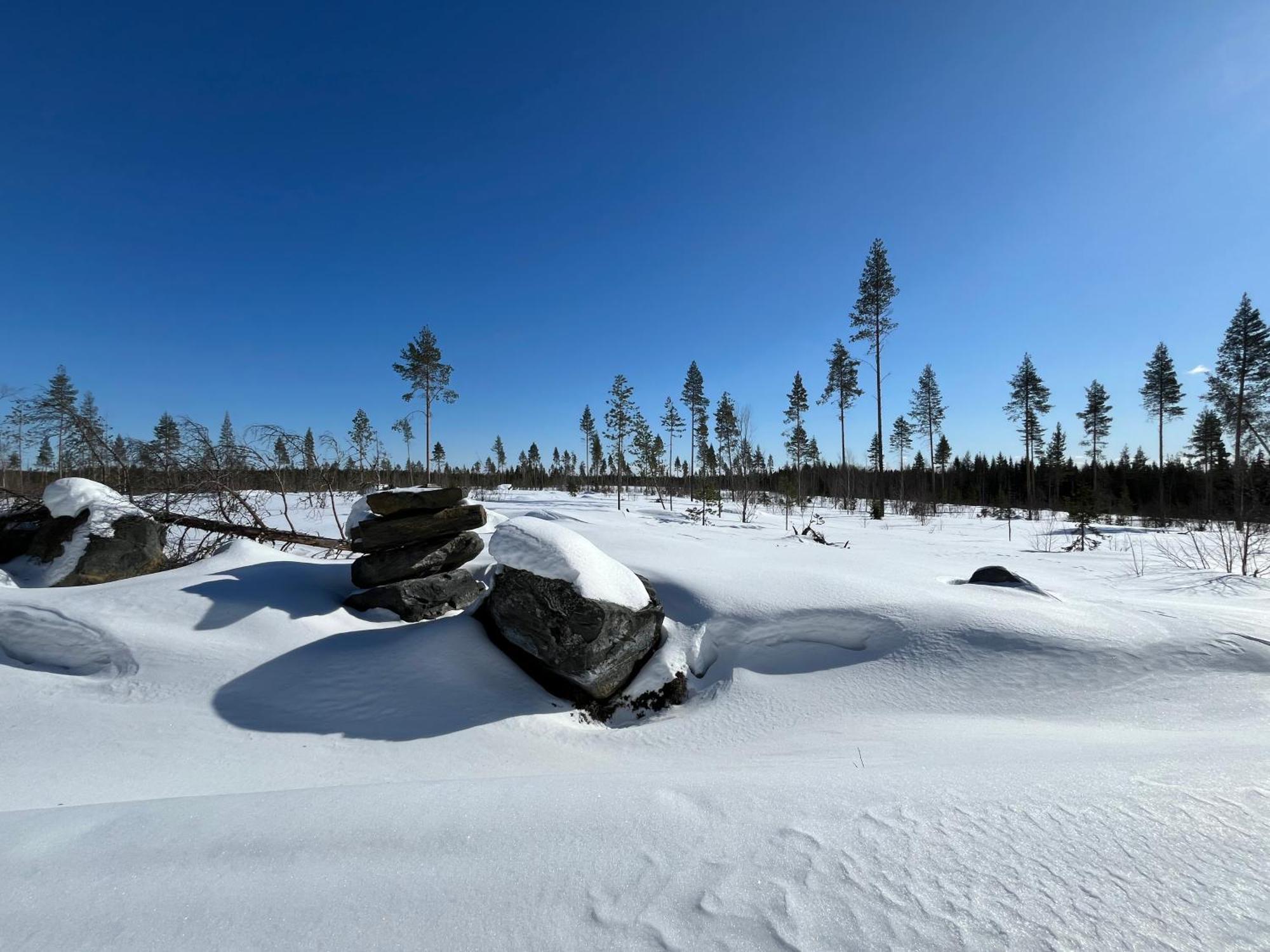 Log Cottages In 10 Min From Santa Claus Village-Sauna&Freeparking ロヴァニエミ エクステリア 写真