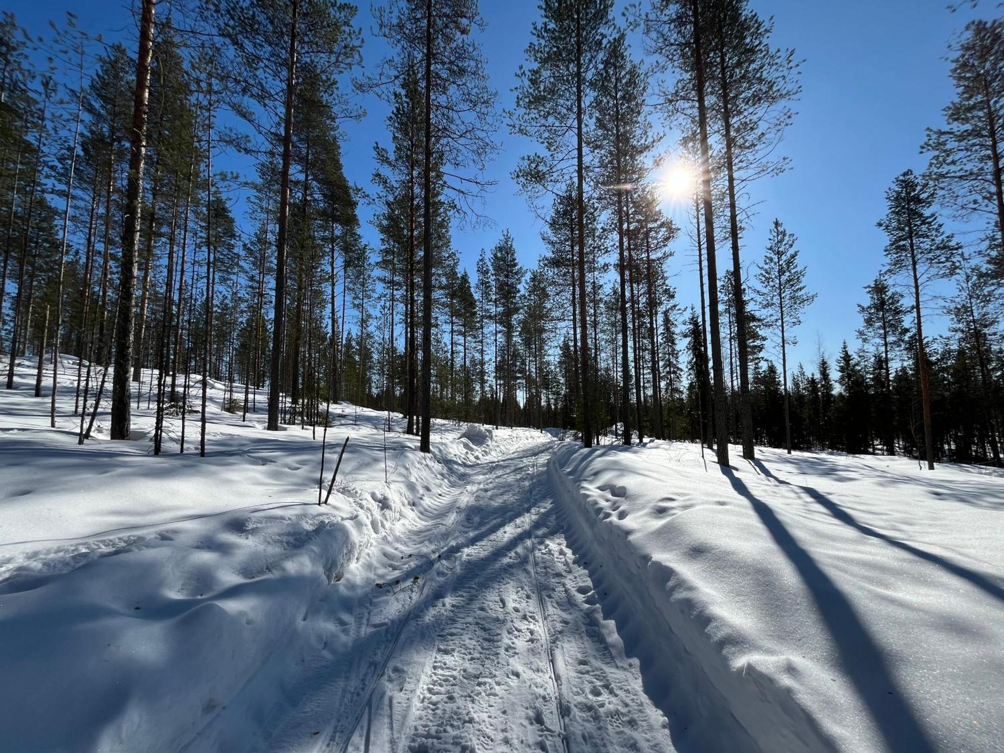 Log Cottages In 10 Min From Santa Claus Village-Sauna&Freeparking ロヴァニエミ エクステリア 写真